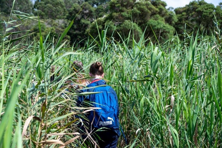 Students walking through tall grasses along the lagoon