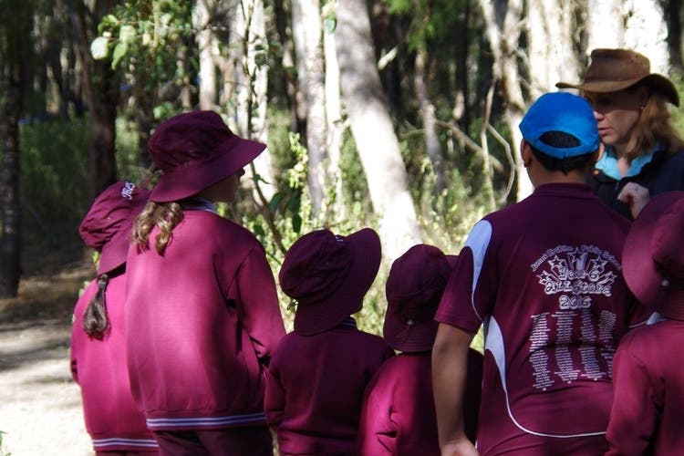 Students learning in the bush at Longneck lagoon
