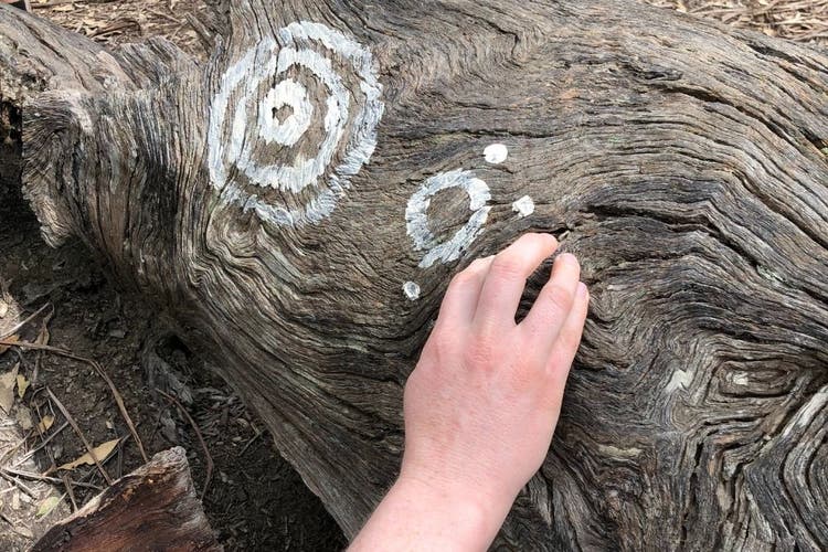 Aboriginal symbols on a log