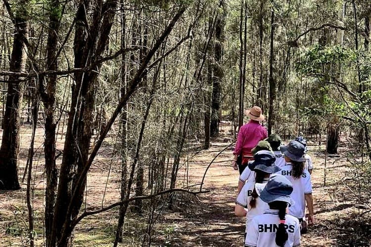 Students being led through the forest by a teacher