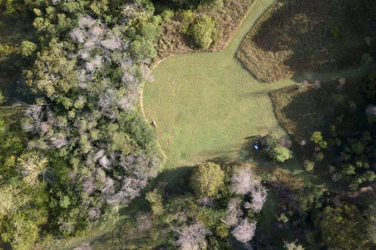 An aerial photograph of the paths around Longneck Lagoon