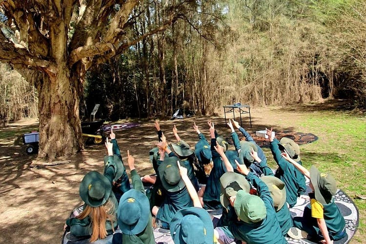 Students pointing to something in a tree