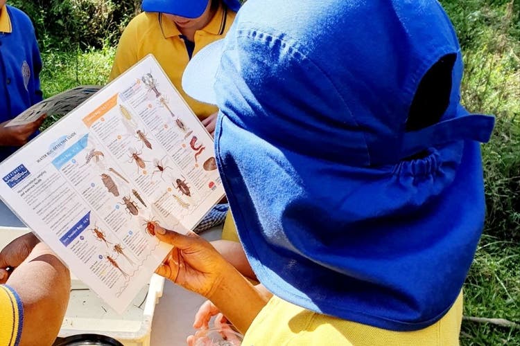 Students identifying water bugs using a chart