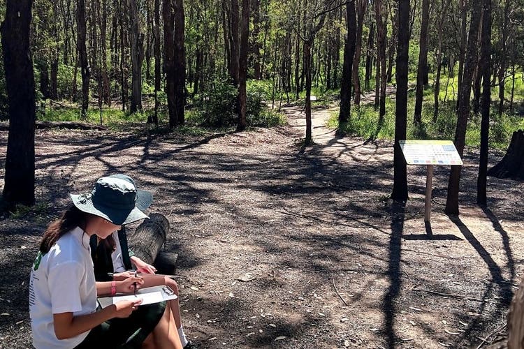 Two students completing a worksheet in the bush