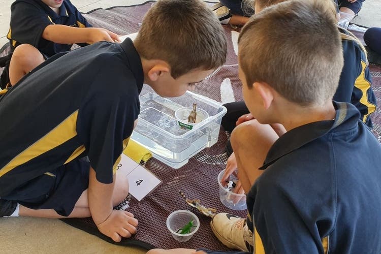 Students conducting an experiment with animal figurines